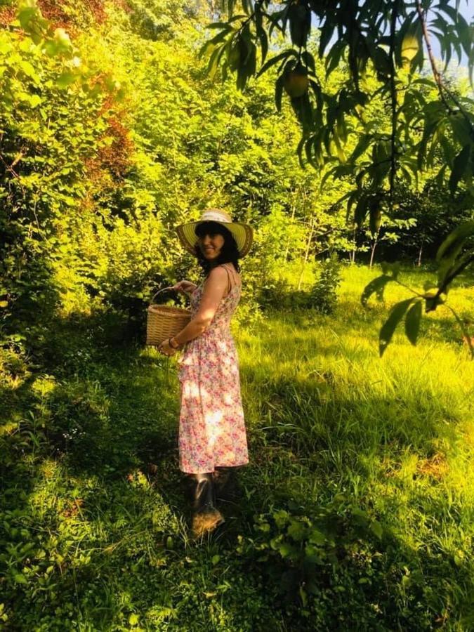 Martv'Elle Boutique Guesthouse Martvili Luaran gambar