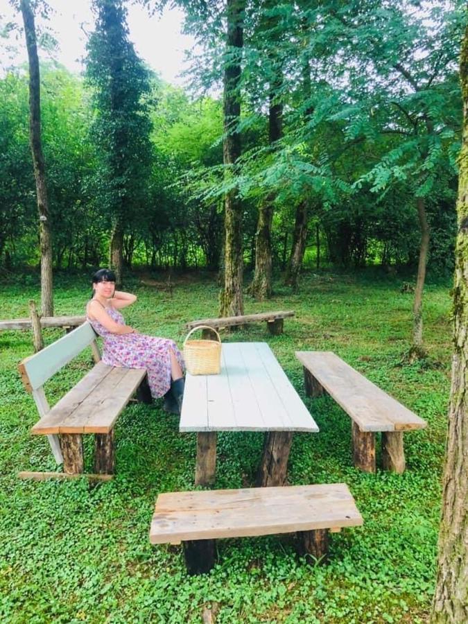 Martv'Elle Boutique Guesthouse Martvili Luaran gambar